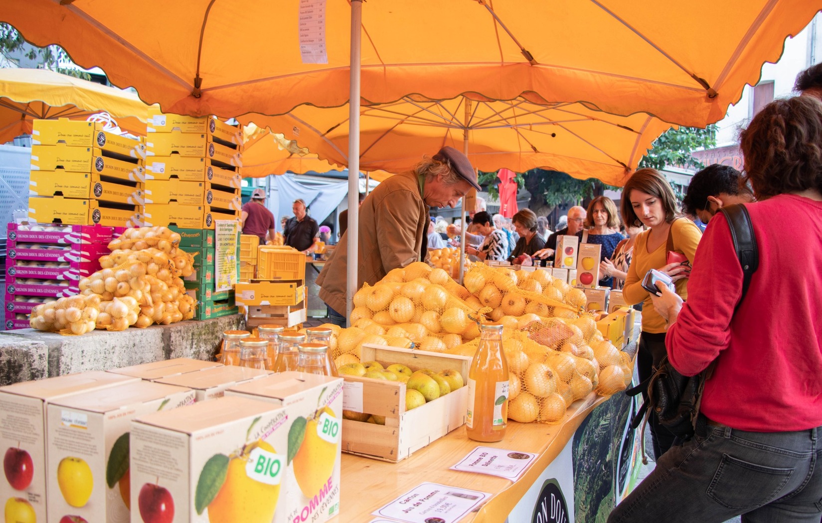 foiredelapommetdel'oignon_oignondouxdescevennes_originecevennes_produitsduterroir_gillesgranier_vigan_pommesreinettes_foire_gard_paysviganais_reveildumidi