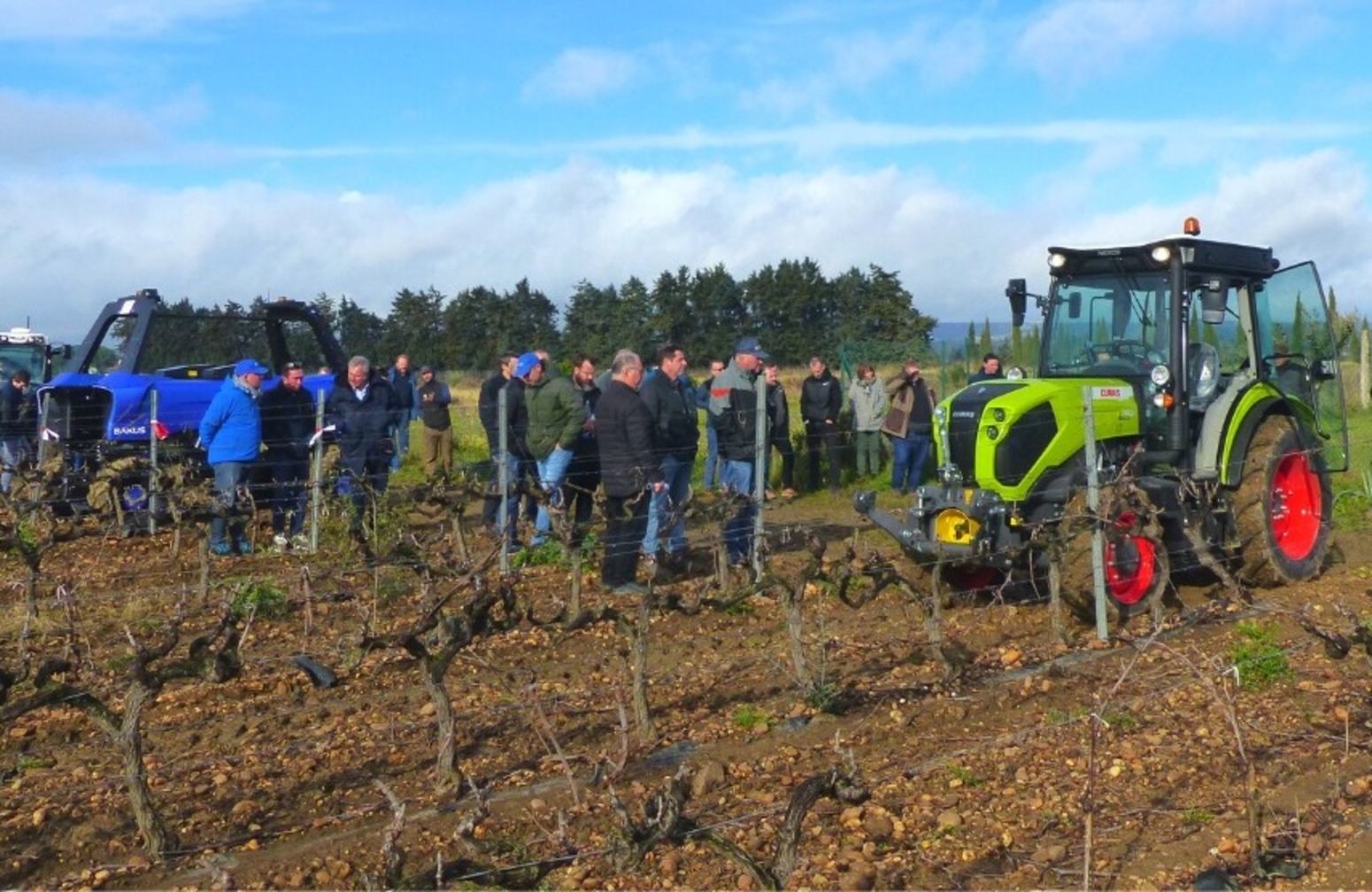 couvertsvegetaux_vegetalisation_enherbement_chambred'agriculturedugard_viticulture_vignerons_vignes_vignobles_vin_agriculteurs_agriculture_magalisaumade_exploitationagricole_reveildumidi