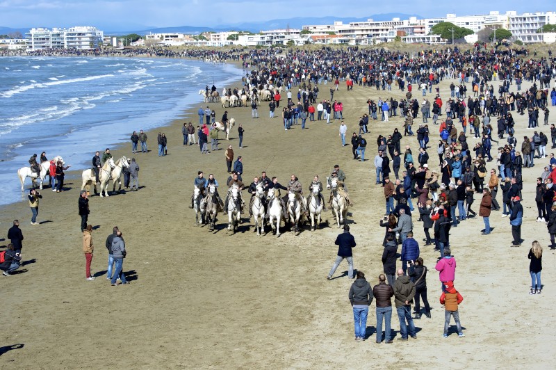 L'abrivado des pages a réuni de nombreux spectateurs samedi dernier. Crédit photo : Facebook Le Grau du Roi Port Camargue