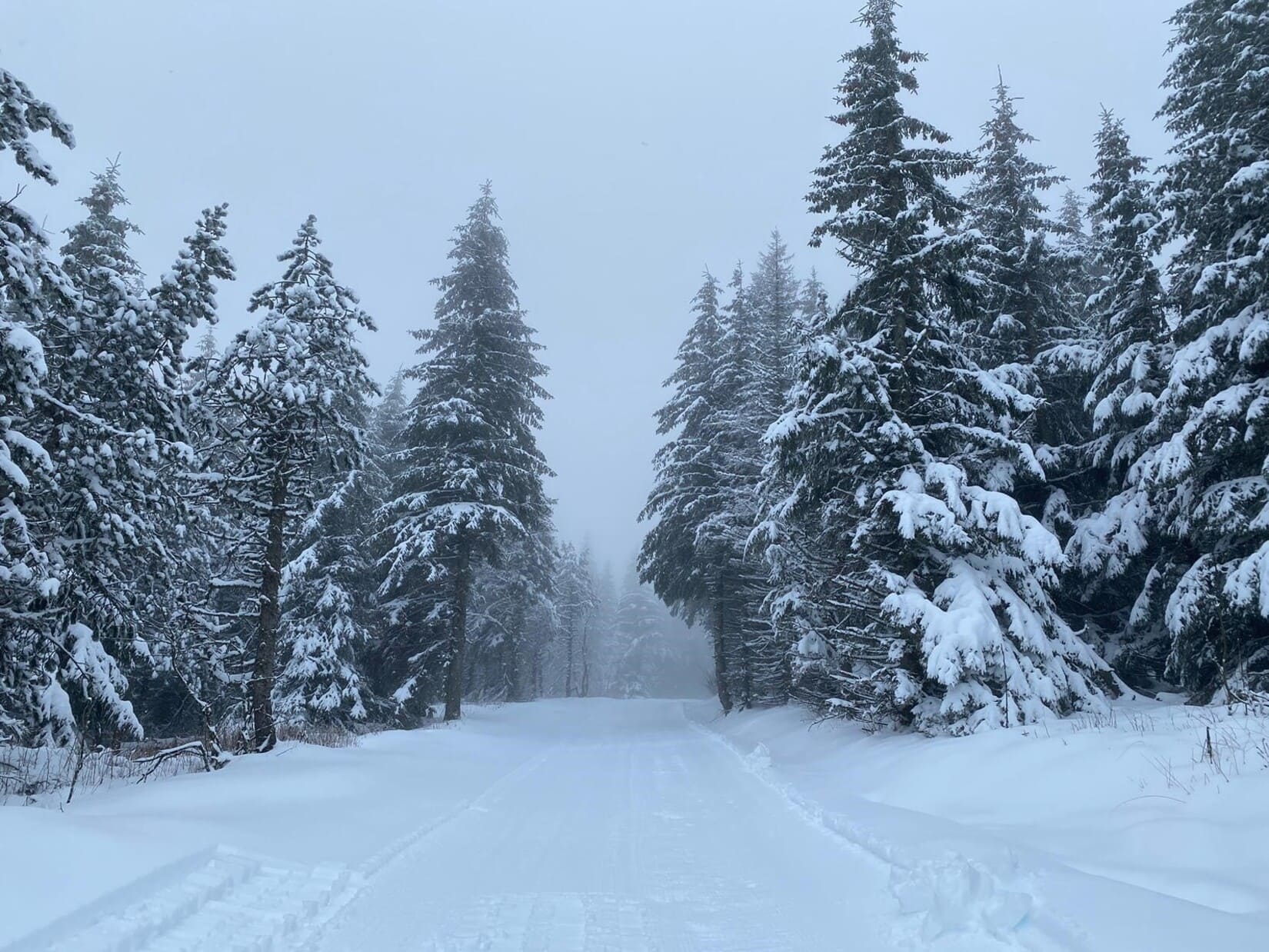 Gard Neige Ski Station Pistes Luche