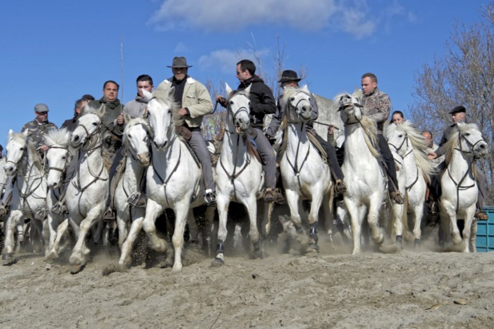 Grau-du-Roi tauromachie abrivado des plages taureaux manades