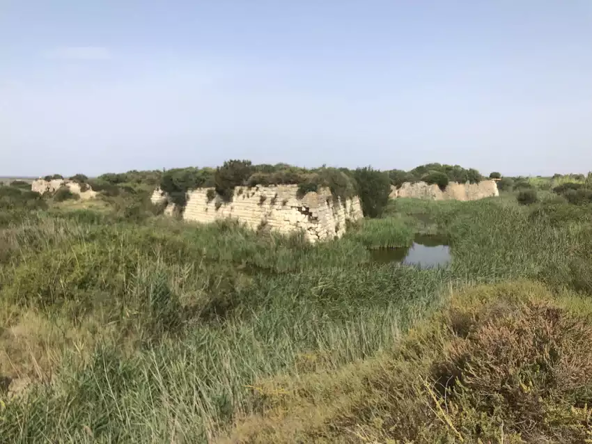 Aigues-Mortes Le Fort de Peccais forteresse oubliée sel or blanc