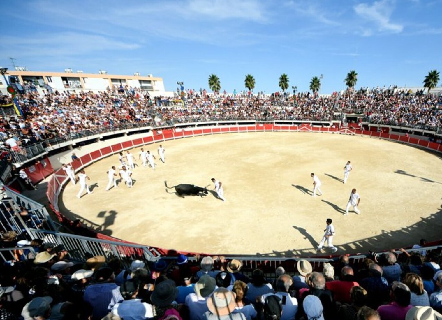 Grau-du-Roi Arènes Feria Fête Taureau 