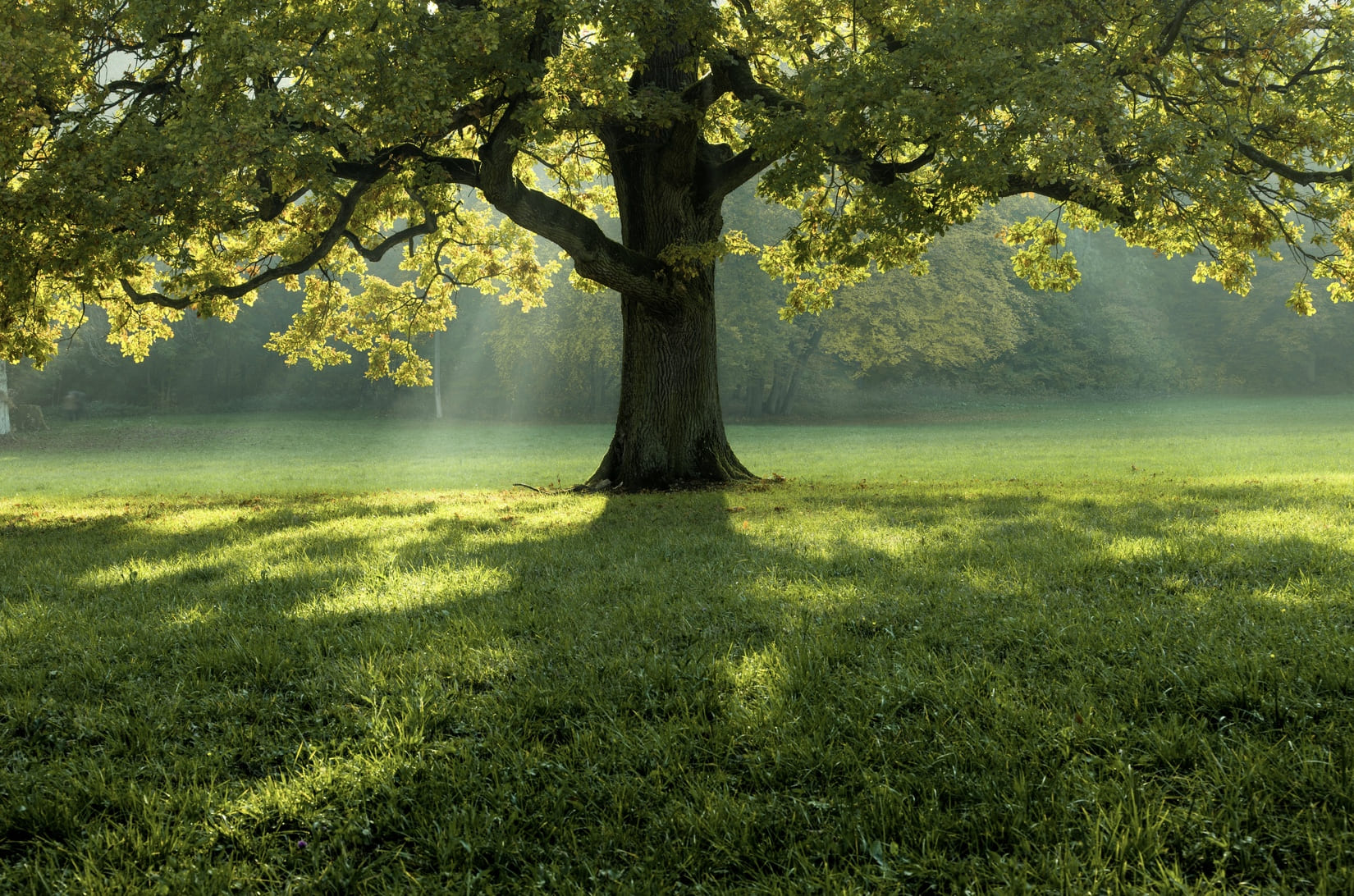 environnement_gard_biodiversité_nature_conférence_protection_environnement_végétaux_local_leréveildumidi