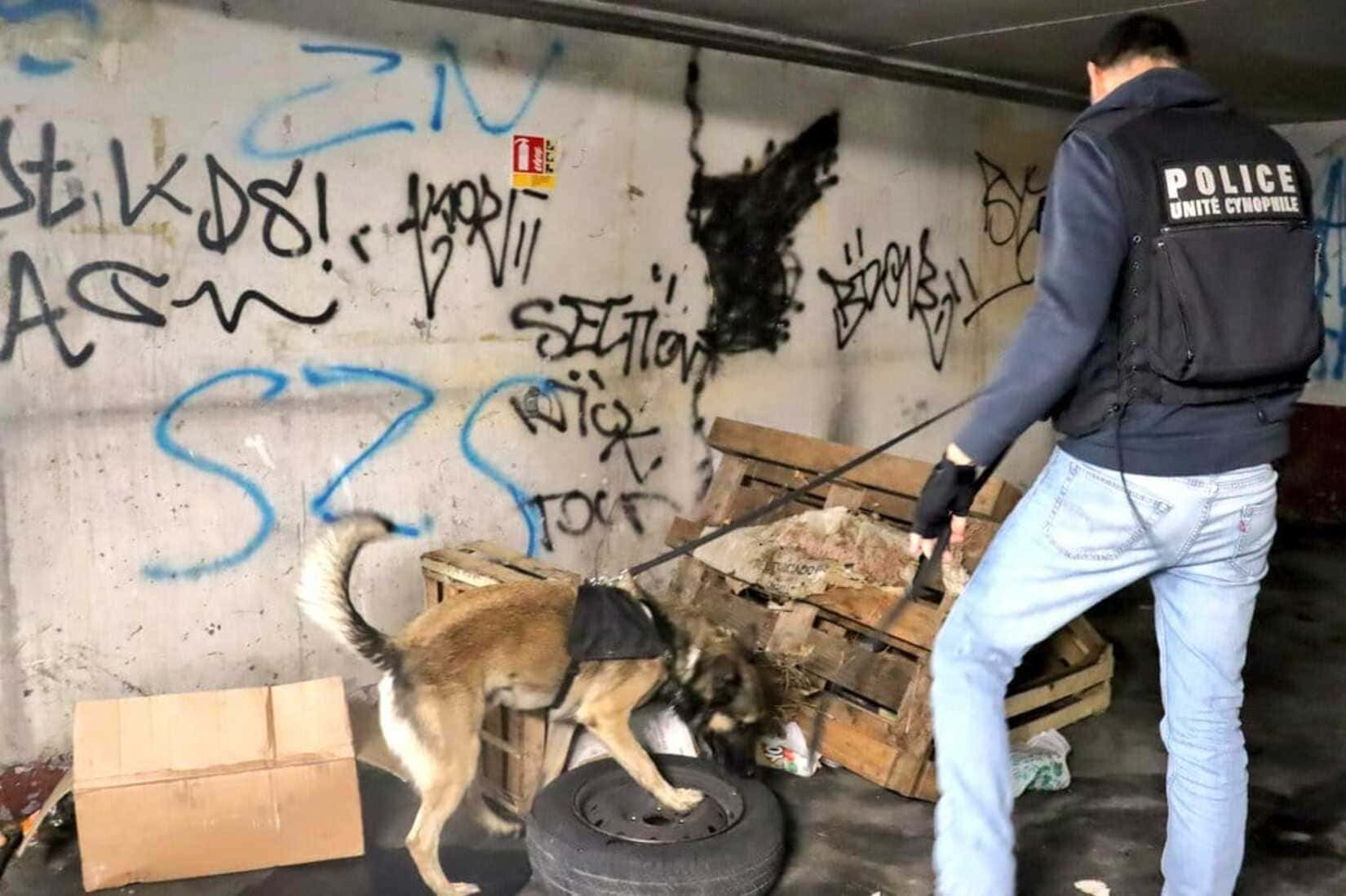 Brigade Cynophile Chien Gendarmerie Police Nîmes Gard Pissevin 