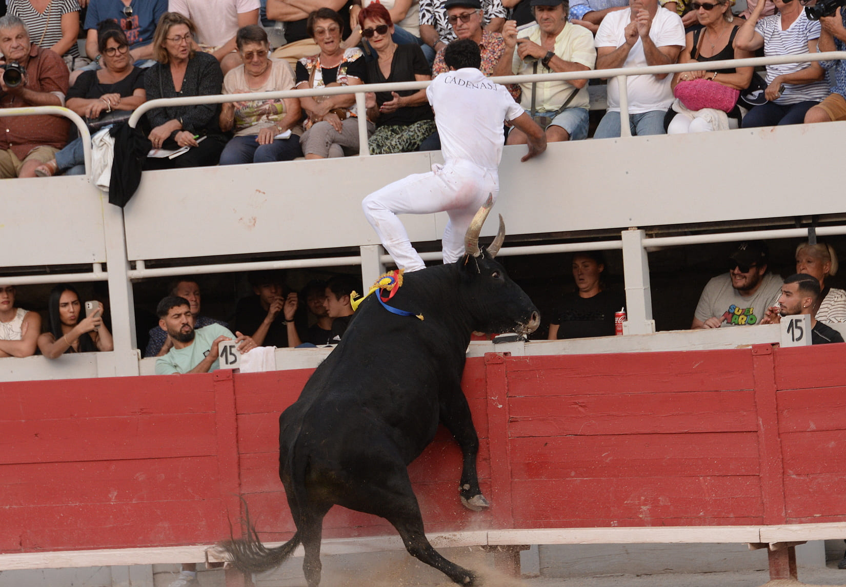 Course camarguaise, biou d'or 72ème finale du trophée des As Zakaria Katif champion de France et Castella biou d'or joaquim Cadenas