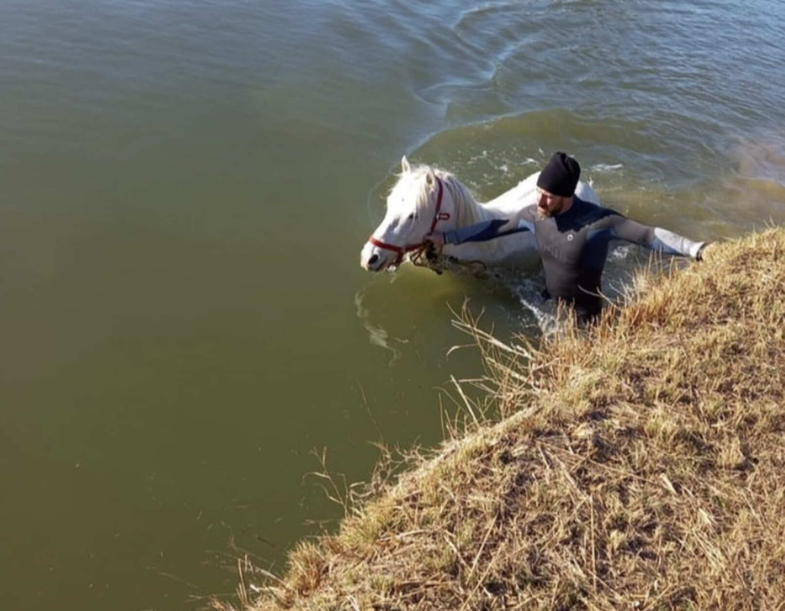 cheval_tombé_canal_animal_unitéspécialiséeanimalière_secouristes_lereveildumidi