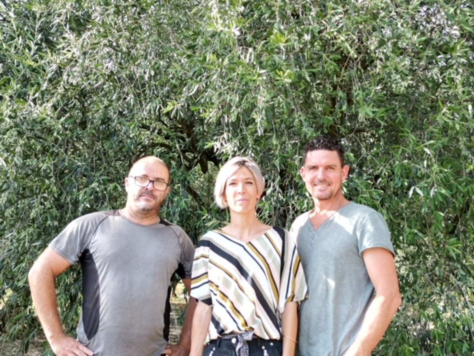 Un nouveau moulin à huile à Bagard Gard Agriculture Olive 