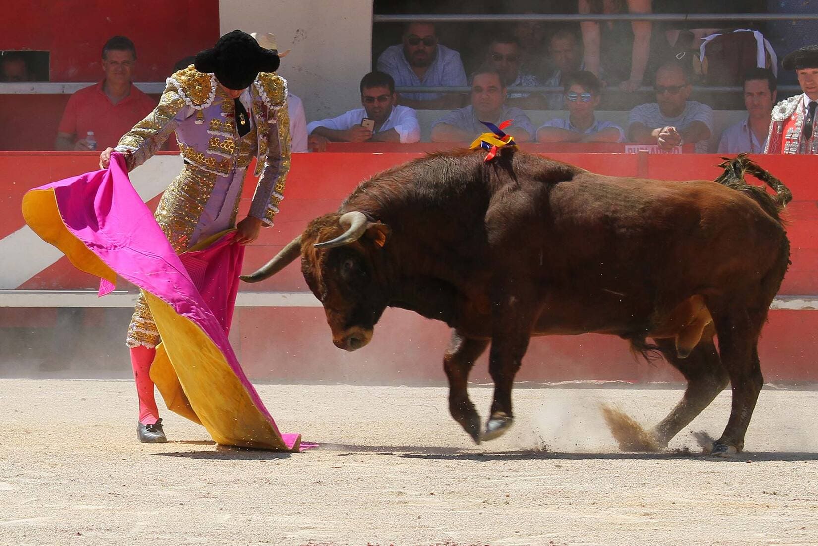 Corrida_alès_lereveil_dumidi_cartel