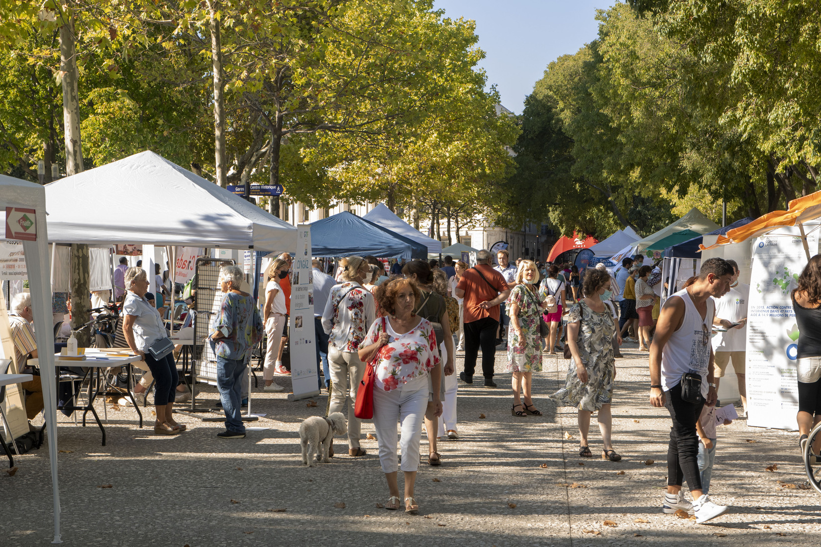 forumdesassociations_associationsnimoises_milieuassociatif_associations_nimes_villedenimes_reveildumidi