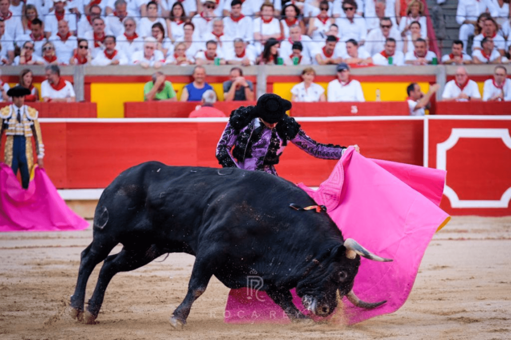 corrida toro toromachie teaureux feria culture tradition leréveildumidi