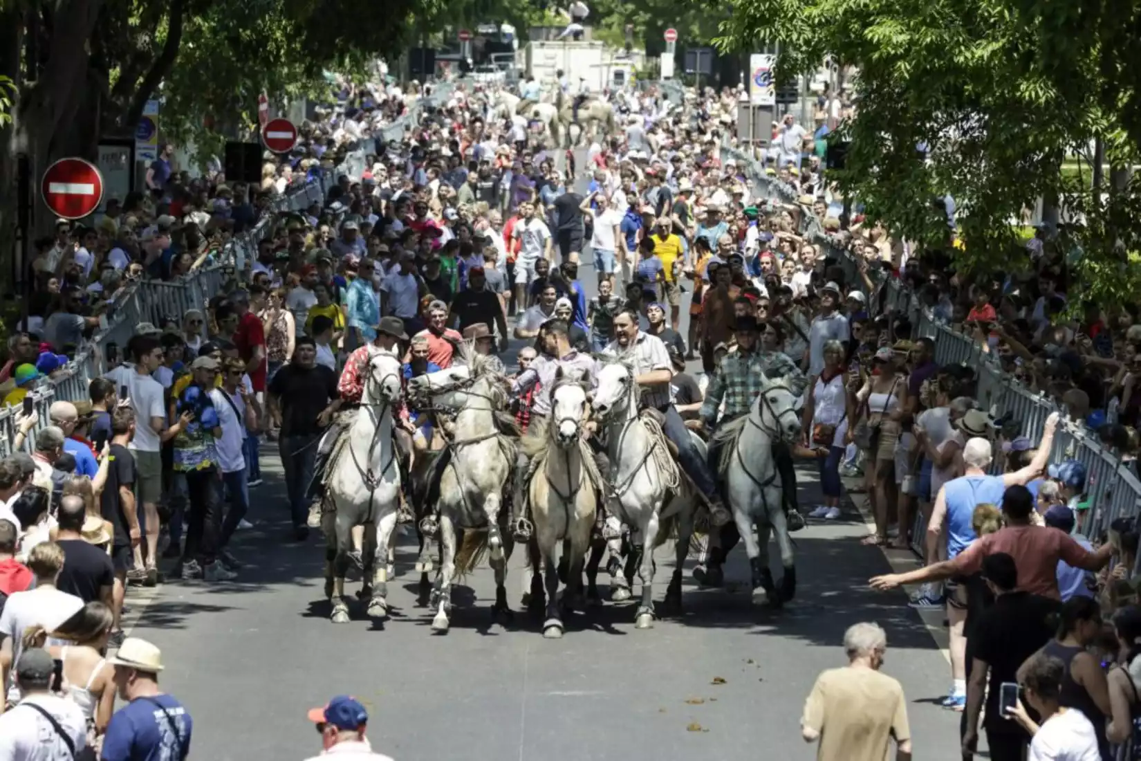 Feria Pentecôte Nîmes Programme Abrivado Gard