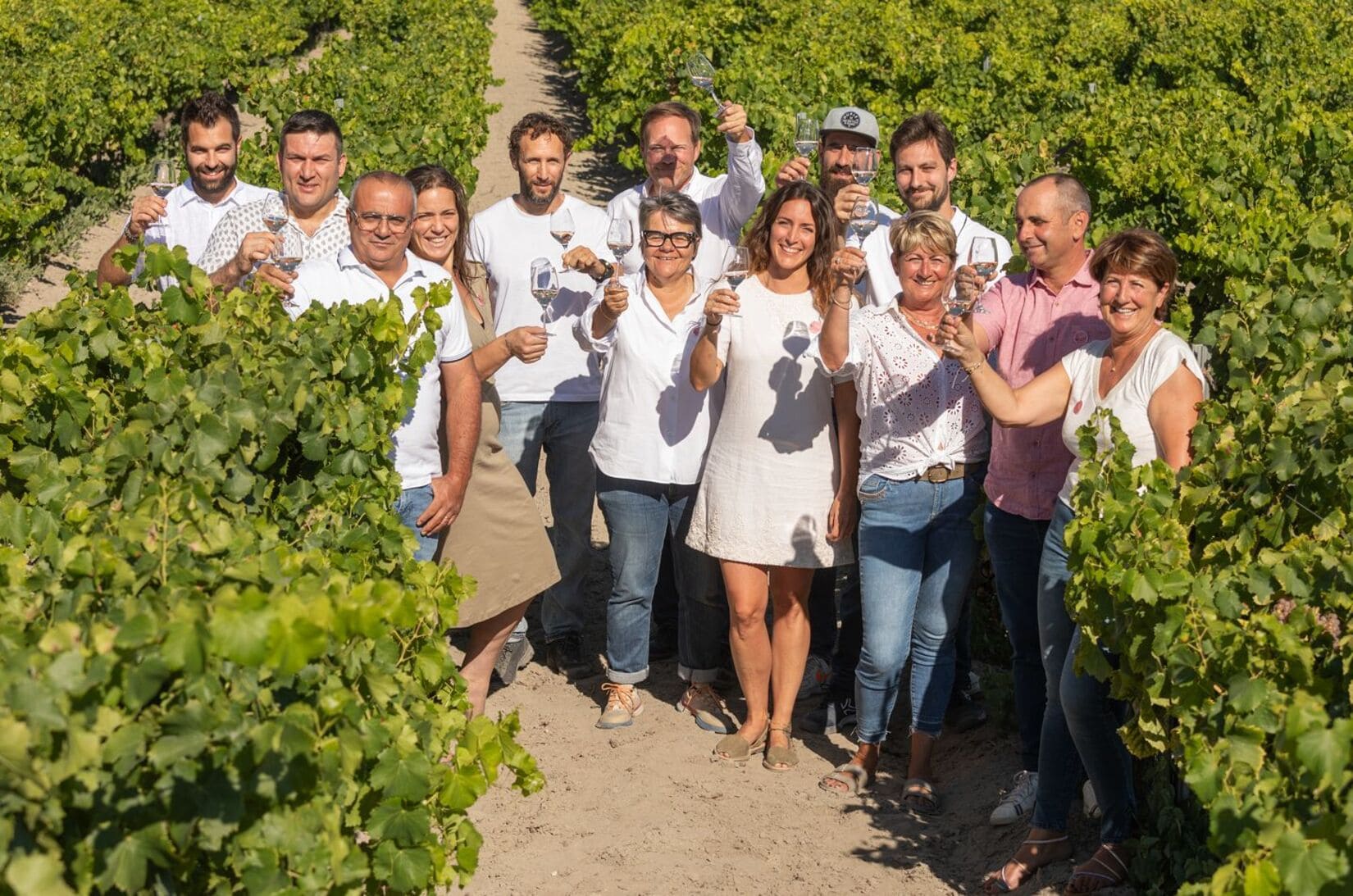 Agriculture Viticulture Camargue Gard Hérault