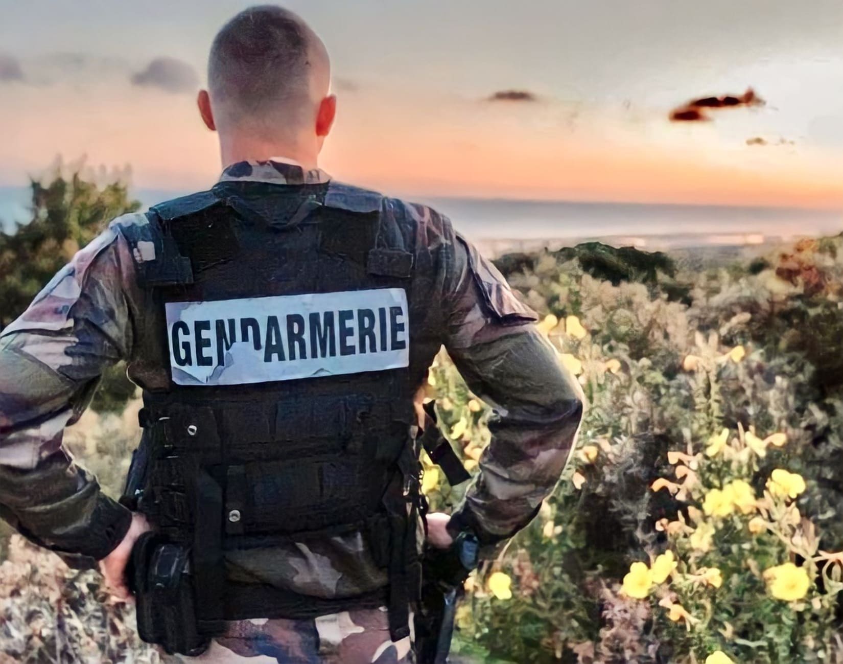 gendarmerie protection préservation nature environnement agents infractions