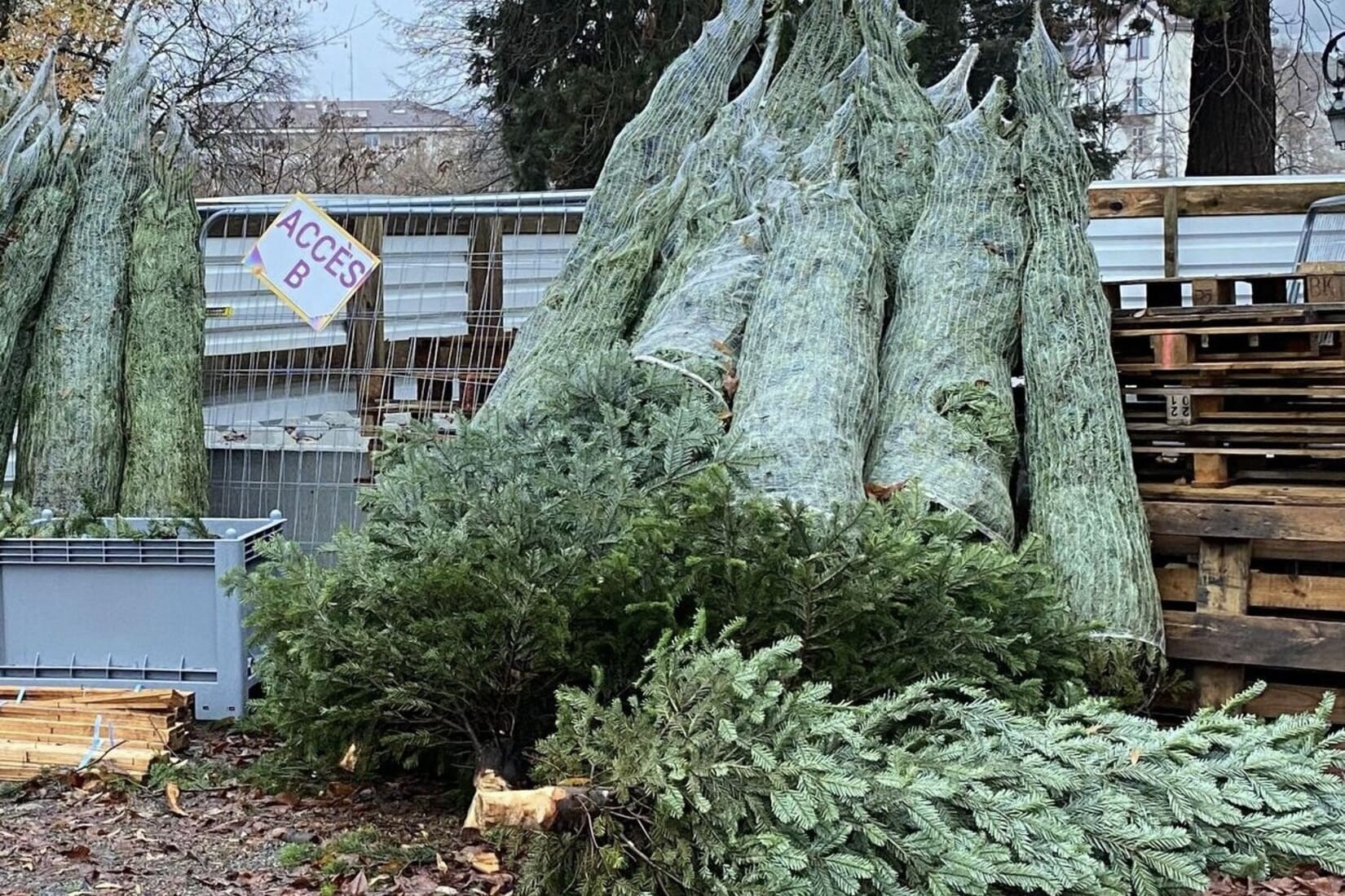 déchet sapin usagé environnement déchèterie