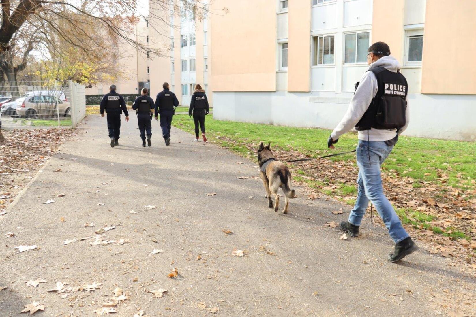 police_gendarmerie_contrôle_drogue_feu_d'artifice_engin_pyrotechnique_arrestation_délinquance