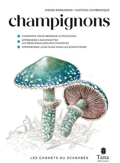 Les-carnets-du-scarabee-Champignons.jpg