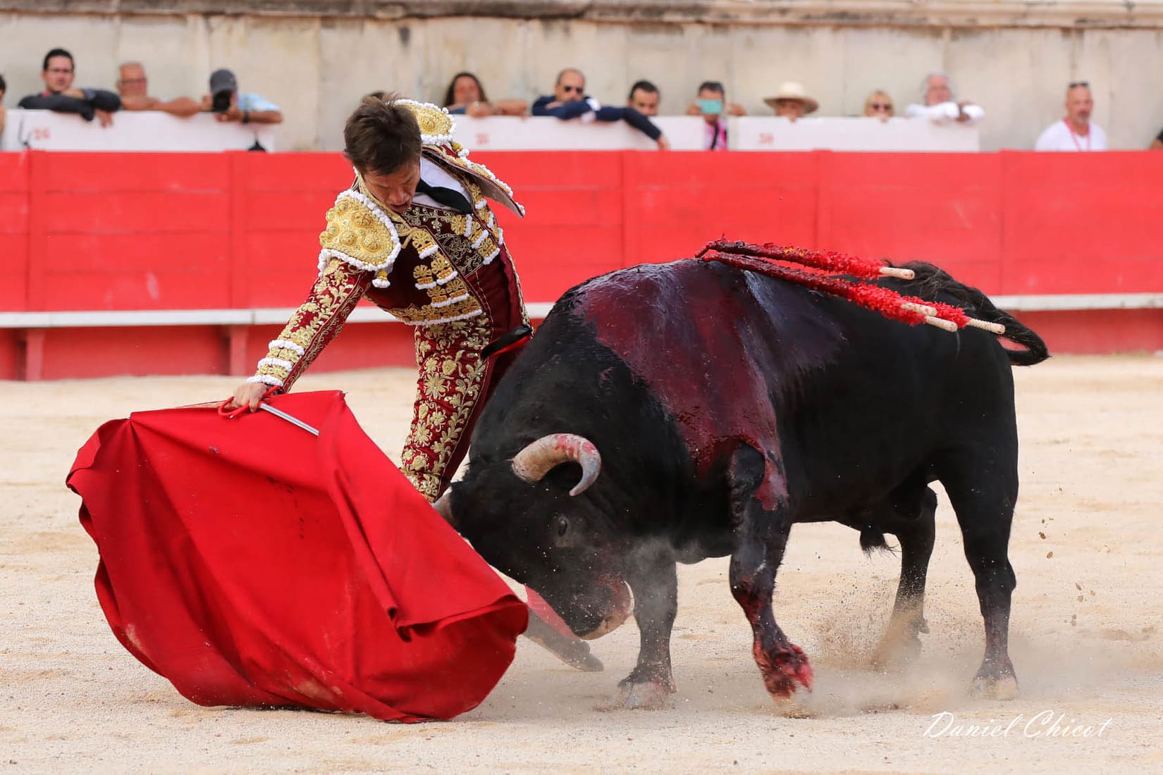 El juli solalito tomas rufo corrida toro tauromachie culture adieux portes des consuls torrero