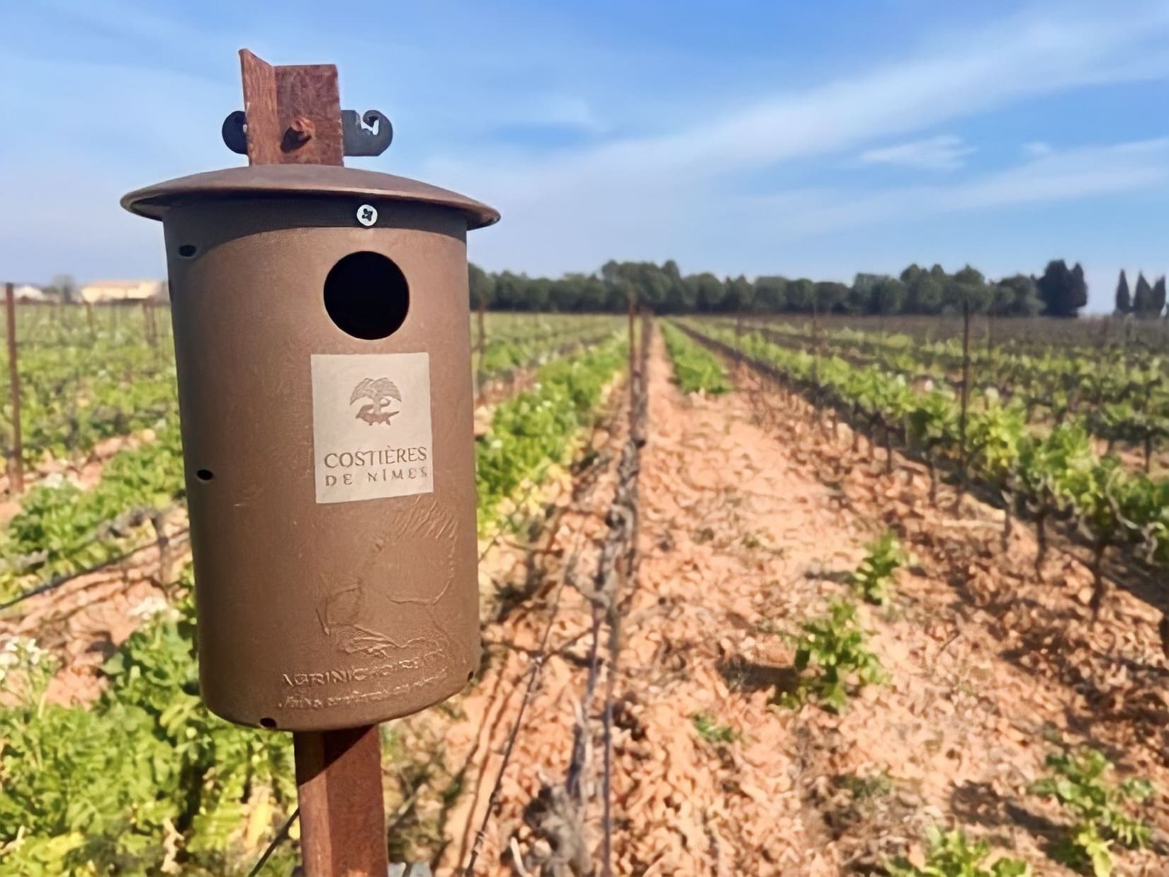 costières_nîmes_vignes_environnement_agriculture_vin_rosé_blanc_rouge_appelation_pose_nichoirs_oiseaux_gîtes_mésages_chauve-souris_leréveildumidi