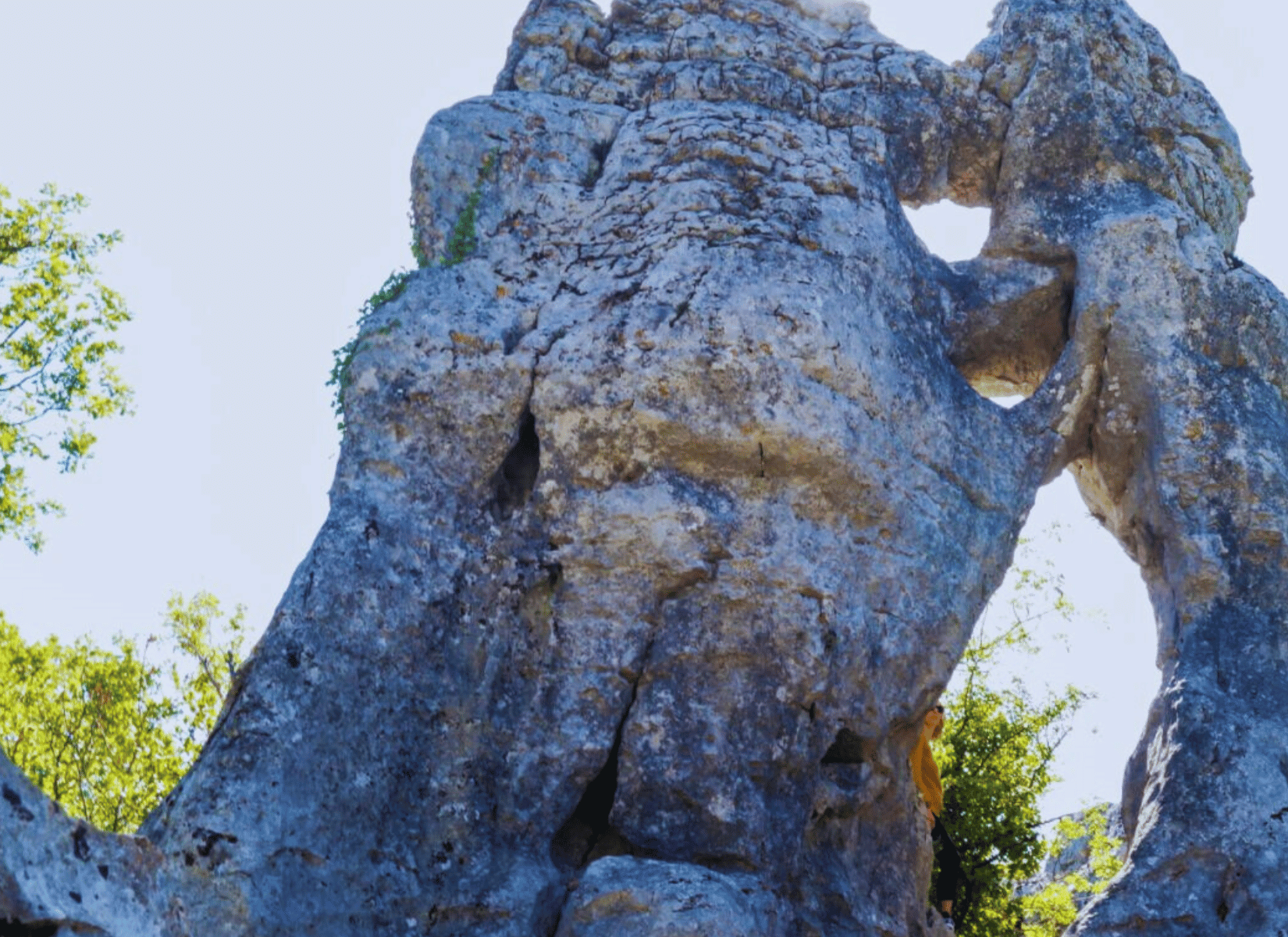 Gard Ardèche Sud Associations Parcs Centrales Solaire 