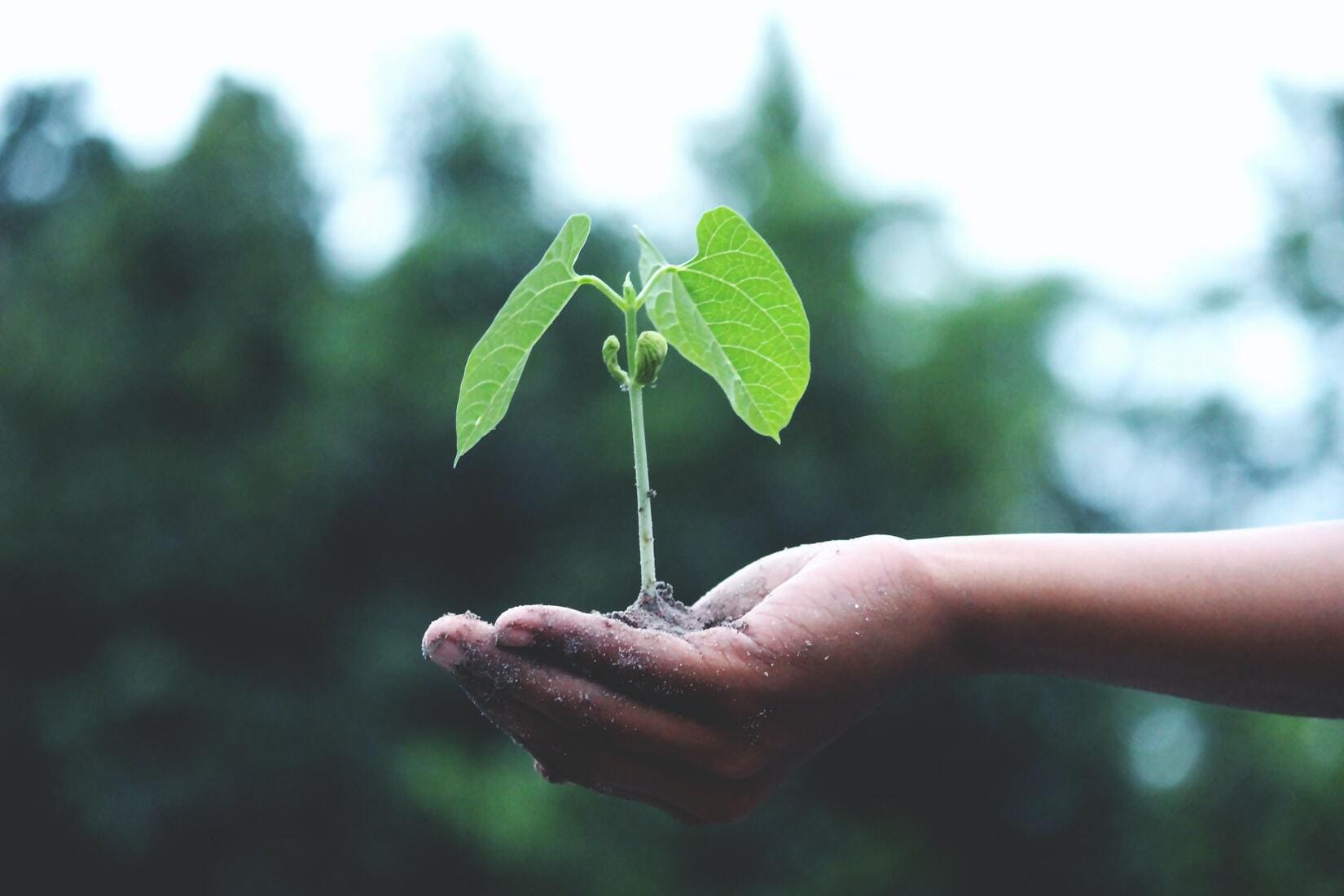 Développement, Européenne, Développement Durable, Gard Nîmes Événements 