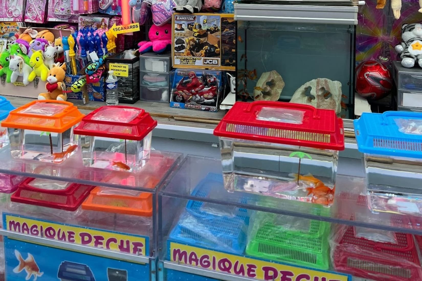 Poissons Rouges Fete Foraine nimes gard le reveil du midi 