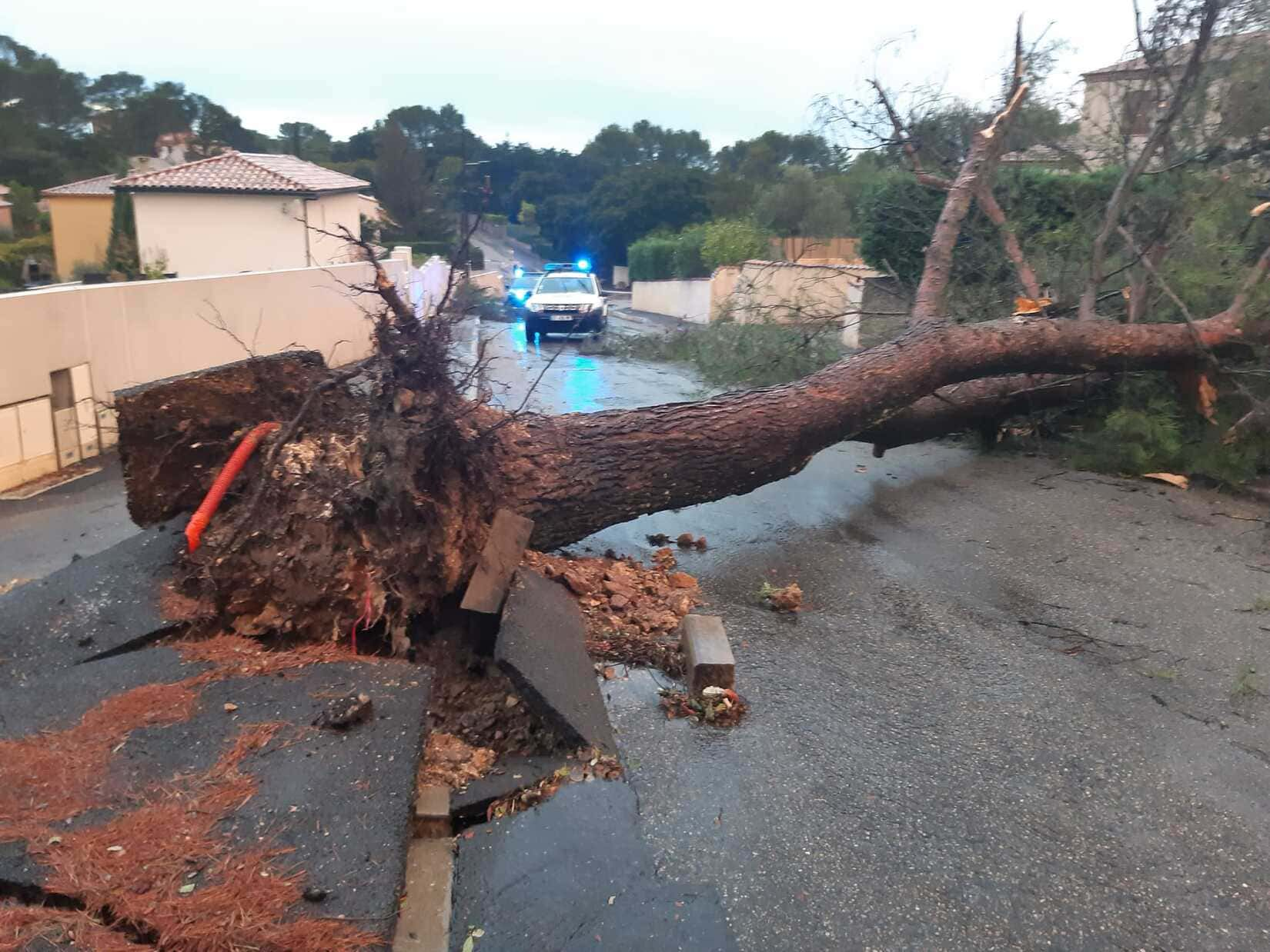 VIDEO Une tornade traverse la commune de Poulx Gard Vent Pluie Météo Drame Arbre Coupé Tombé