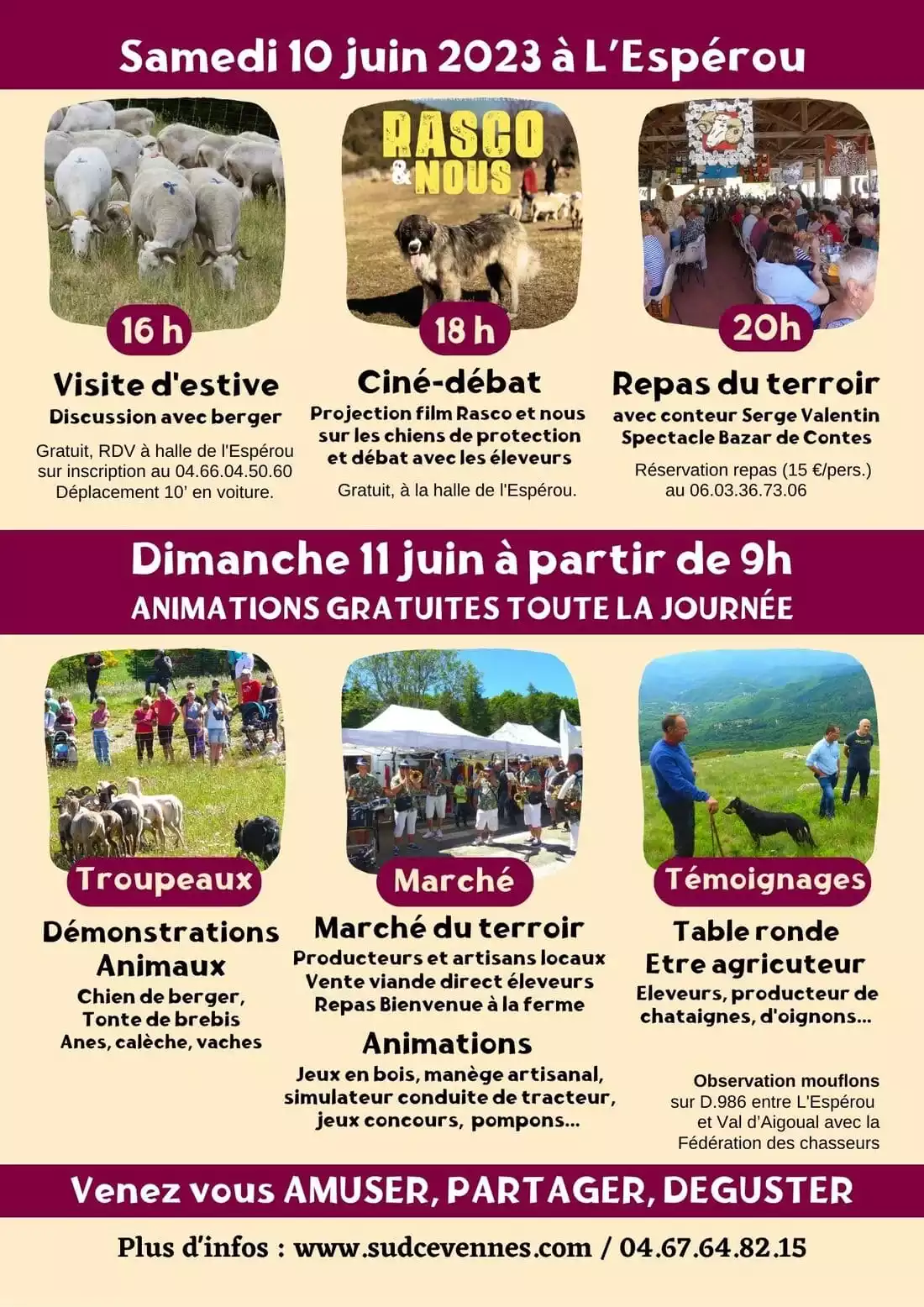 Programme_31ème_fête_de_la_transhumance.webp