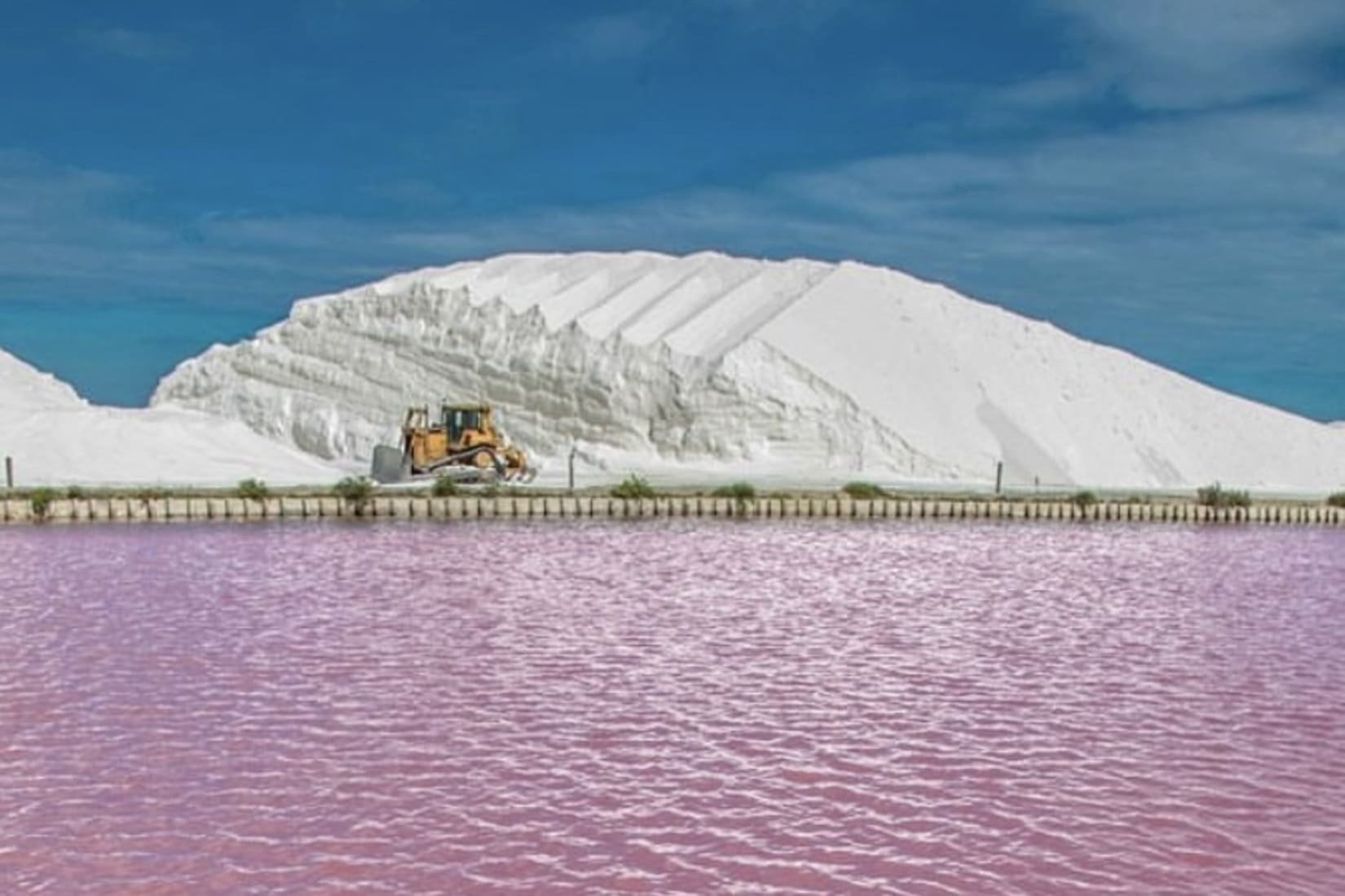 appellation Sel de Camargue Fleur de sel de Camargue registre IGP Agriculture