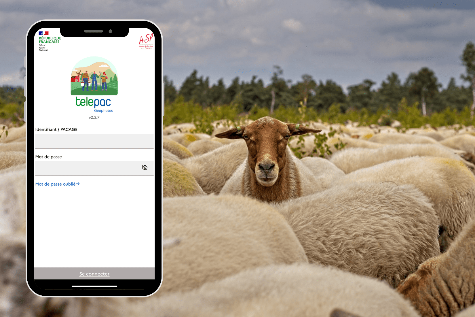 Télépac procédure télédéclaration aides animales agriculteurs application