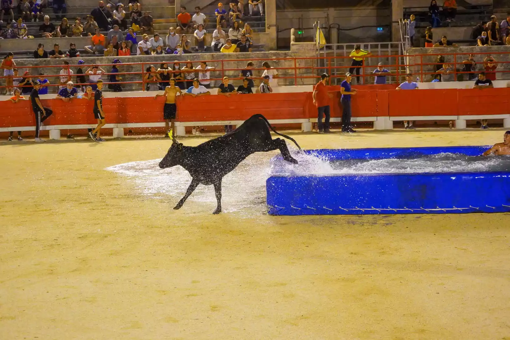 Toros piscine ales annule Estiv'Alès 4 septembre