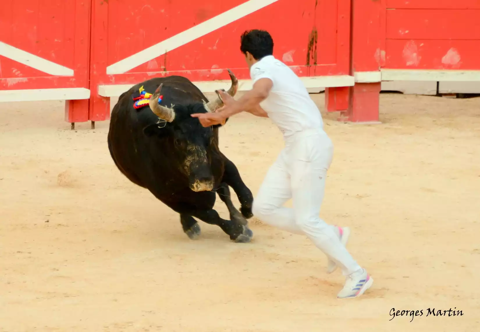 Trophée_Jean_Lafont_nîmes_Feria_de_la_Pentecôte.webp