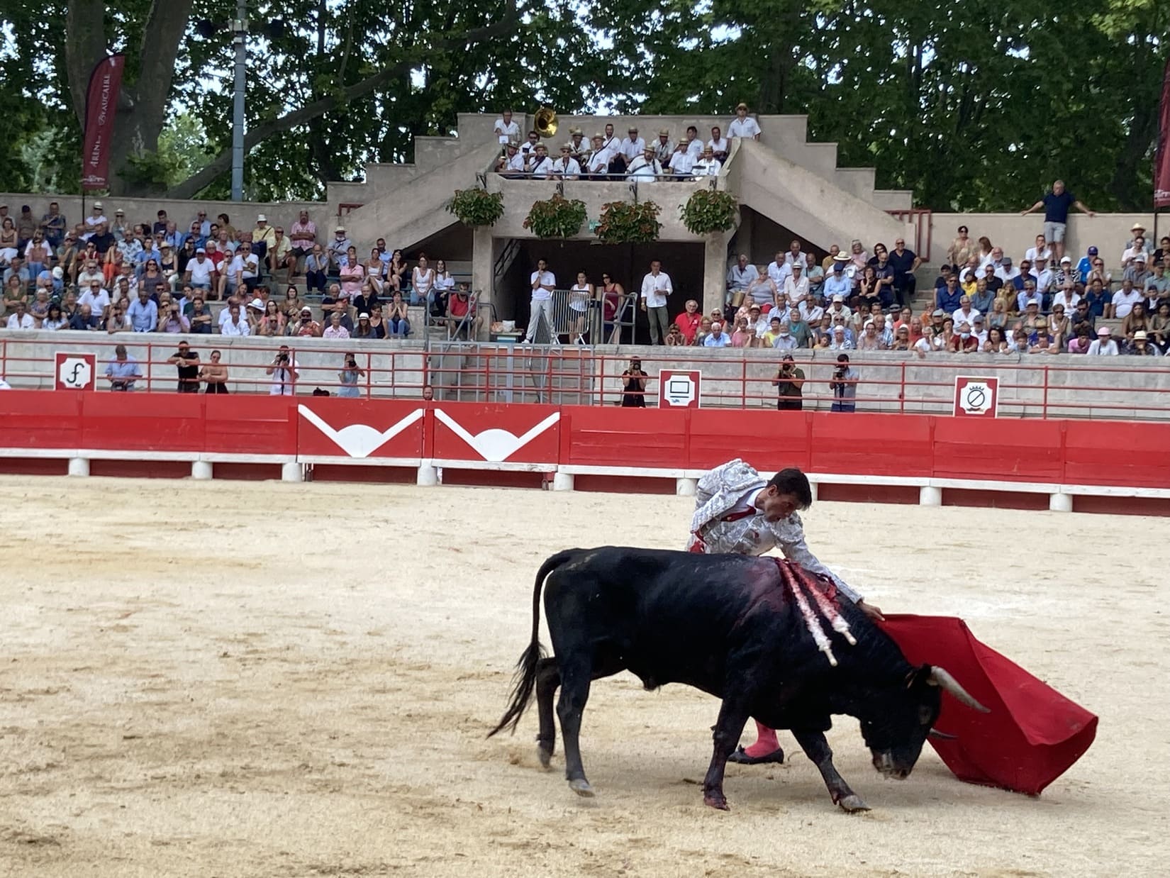 Tauromachie Aficion Traditions Corrida Novillada Culture 