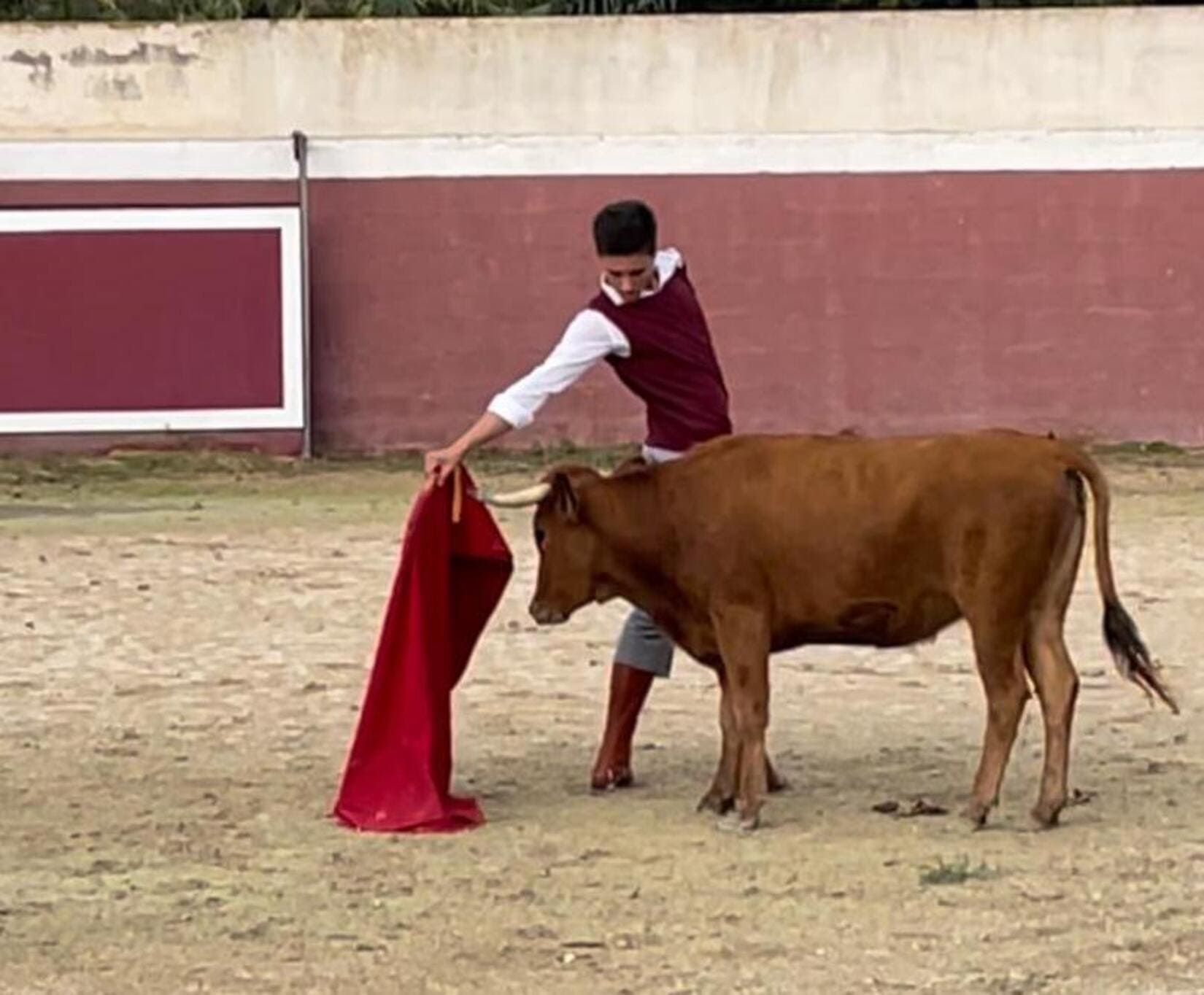 Tauromachie Toros Corrida Aficion Traditions Culture