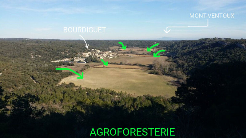 agroforesterie-bourdiguet.jpeg