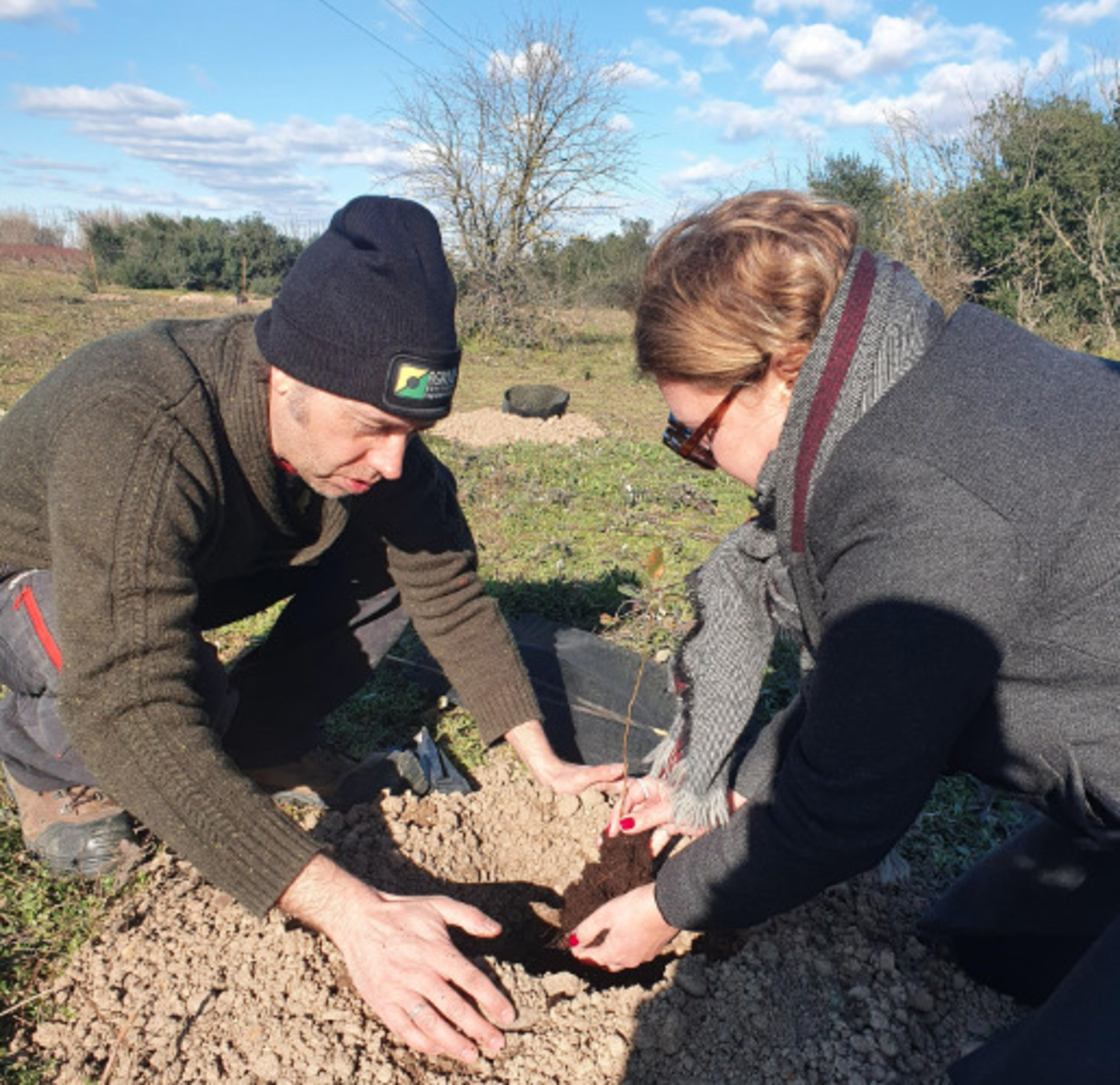 agroof_vauvert_plantation_arbres_20000piedssousterre_parrainage_gard_environnement_biodiversite_agriculture_agroforesterie_domaineviticole_scamandre_domainerenouard_ecosysteme_changementclimatique_reveildumidi