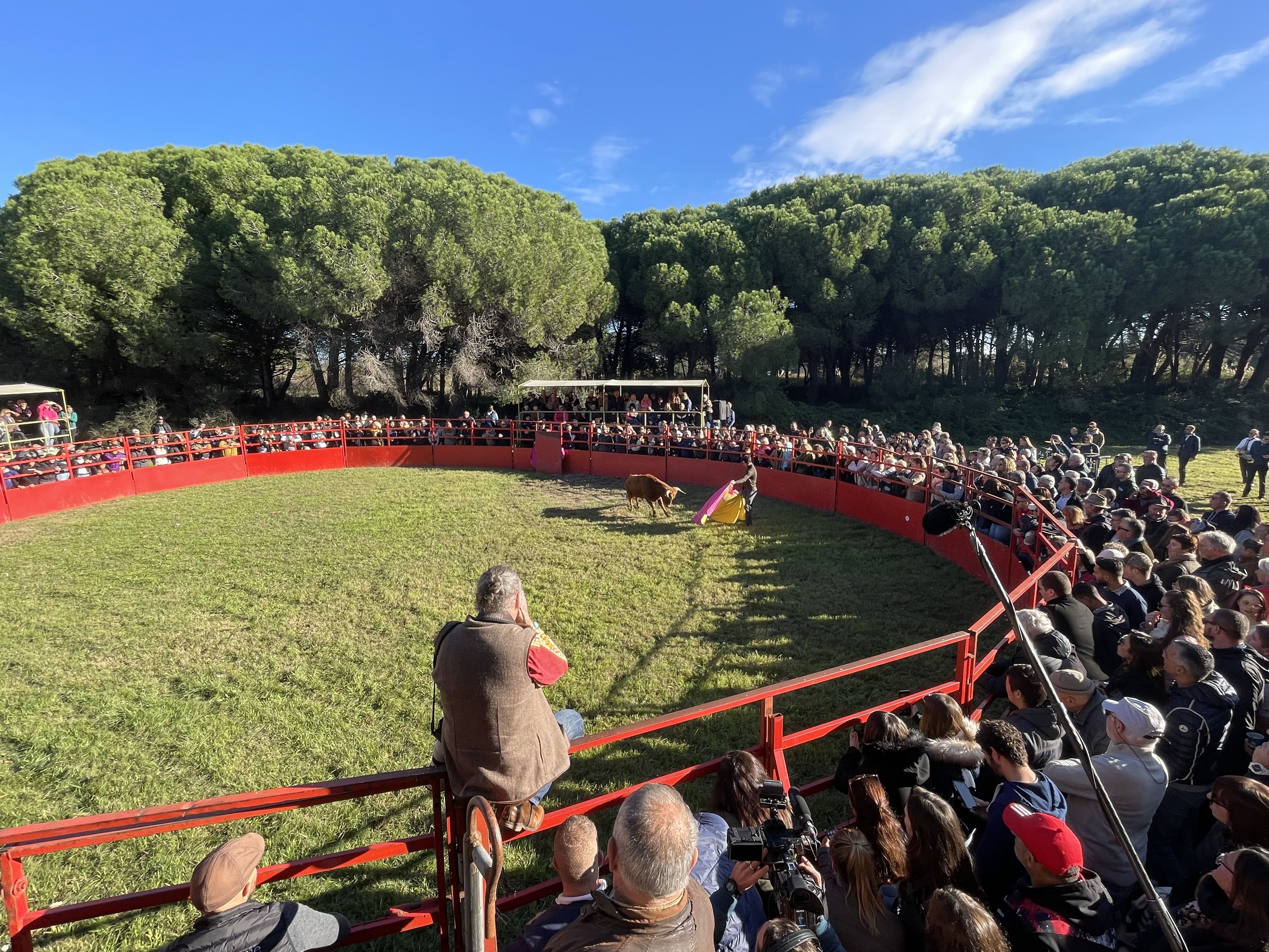 Fête Traditions Culture Tauromachie 