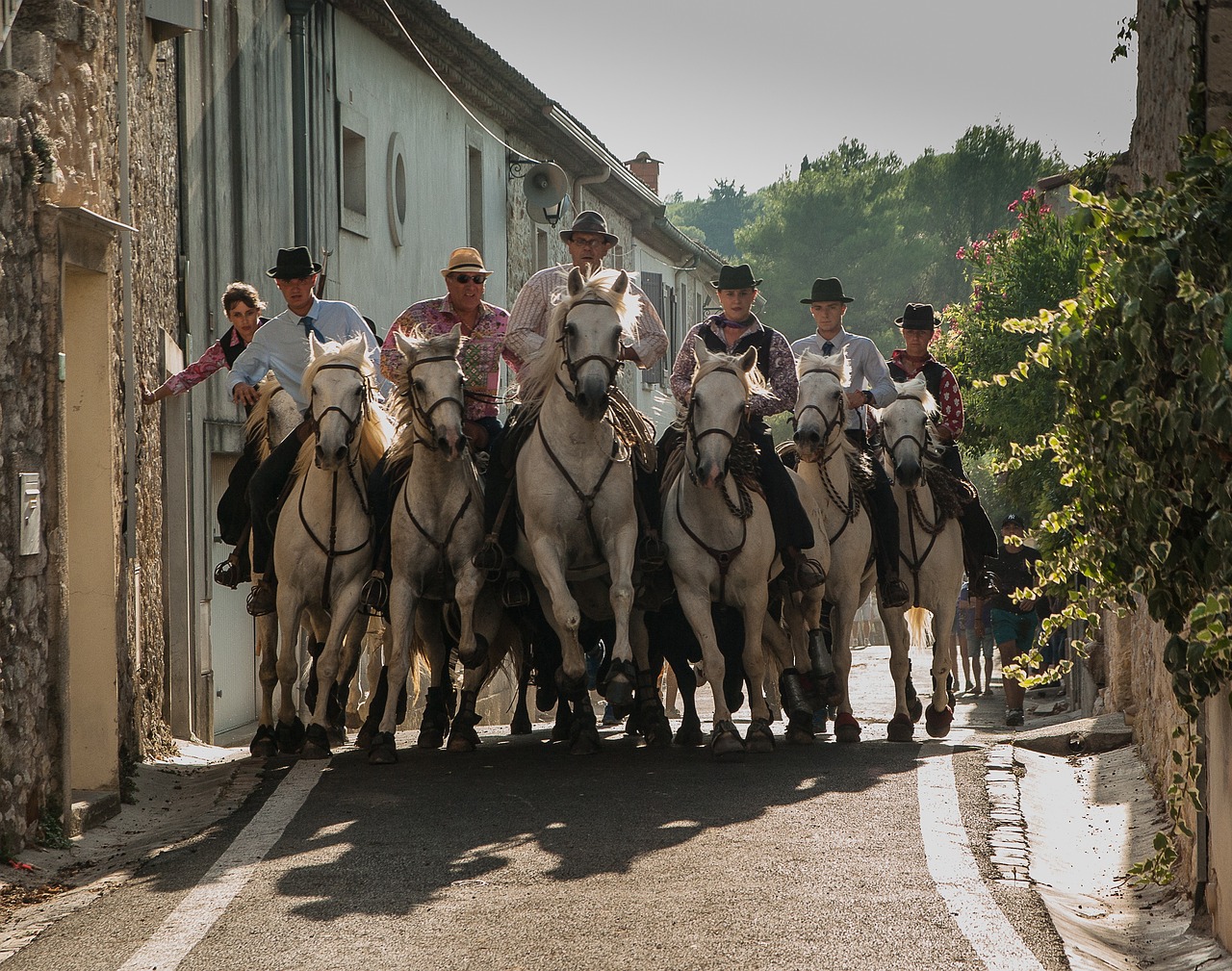 camargue charte manade le reveil du midi blessure taureaux assurance