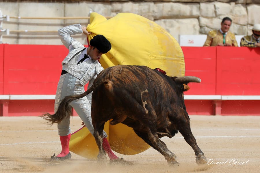 cape_toros_feria_de_Nîmes.jpg