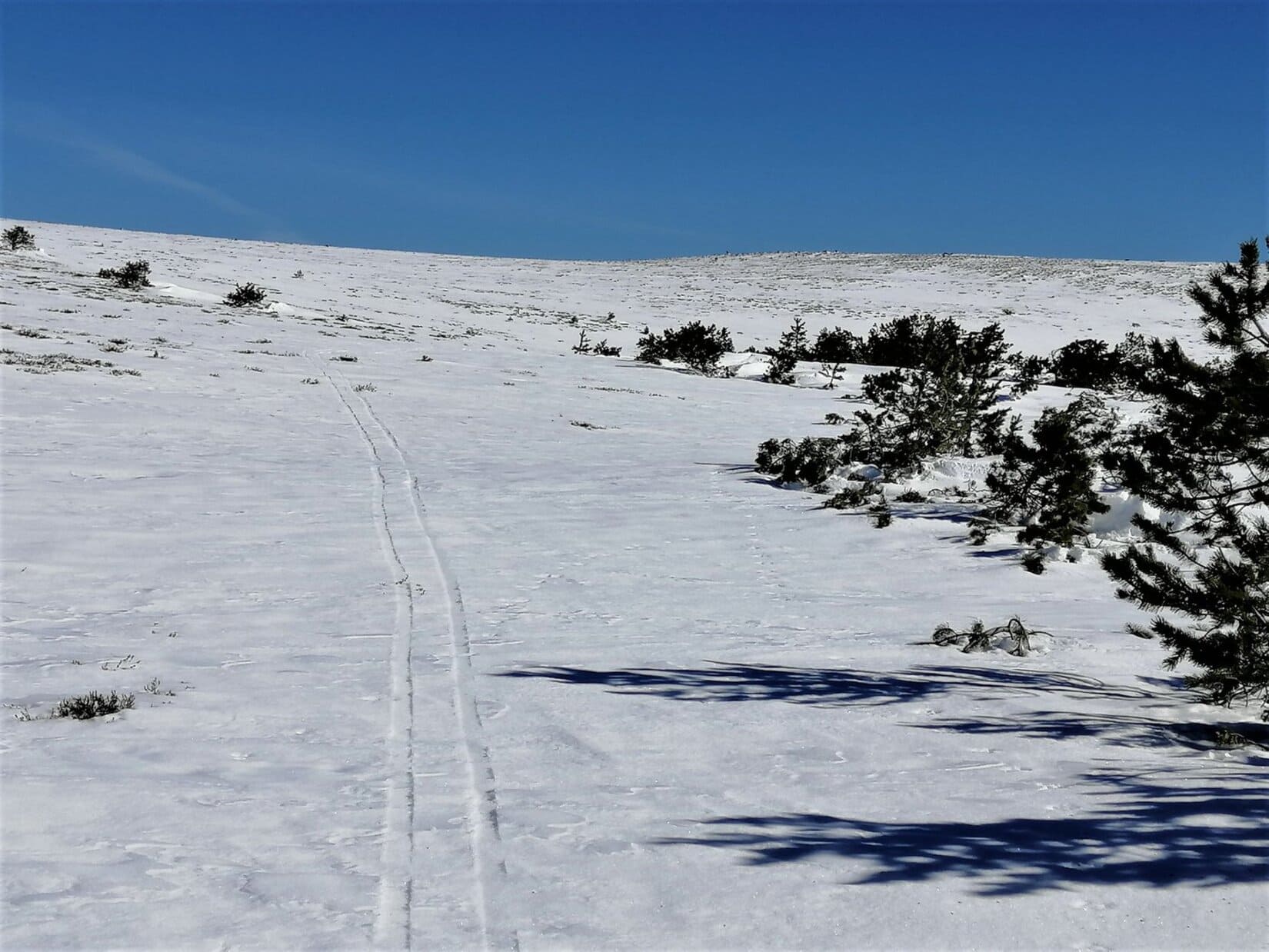 clo34_mont_lozere_fermeture_pistes_ski_alpin_finiels