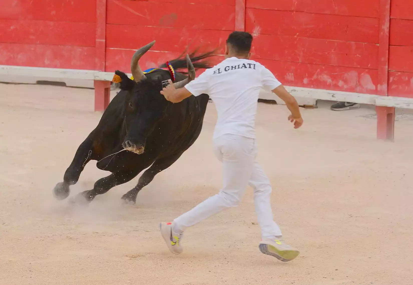 course camarguaise bezouce finale raseteurs taureaux