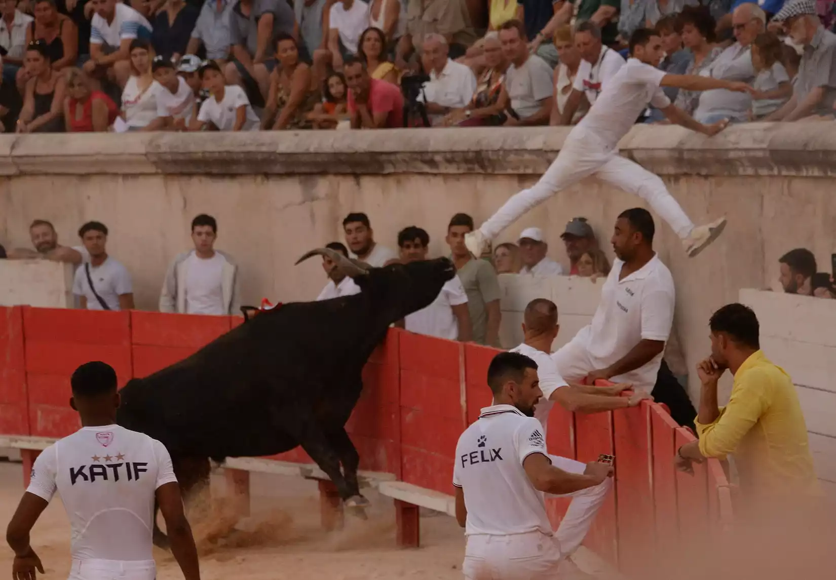 course camarguaise Nîmes Grand prix trophée des AS