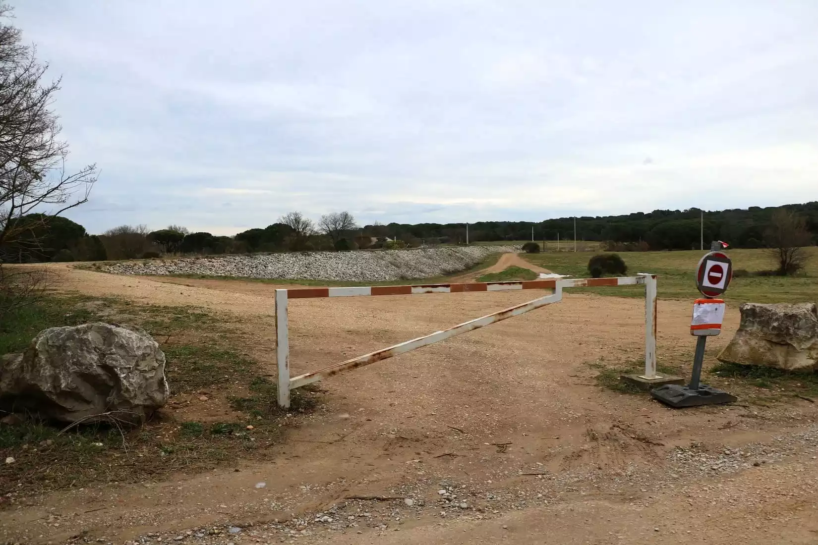 deux chiens intoxiqués morts canicross vauvert gard