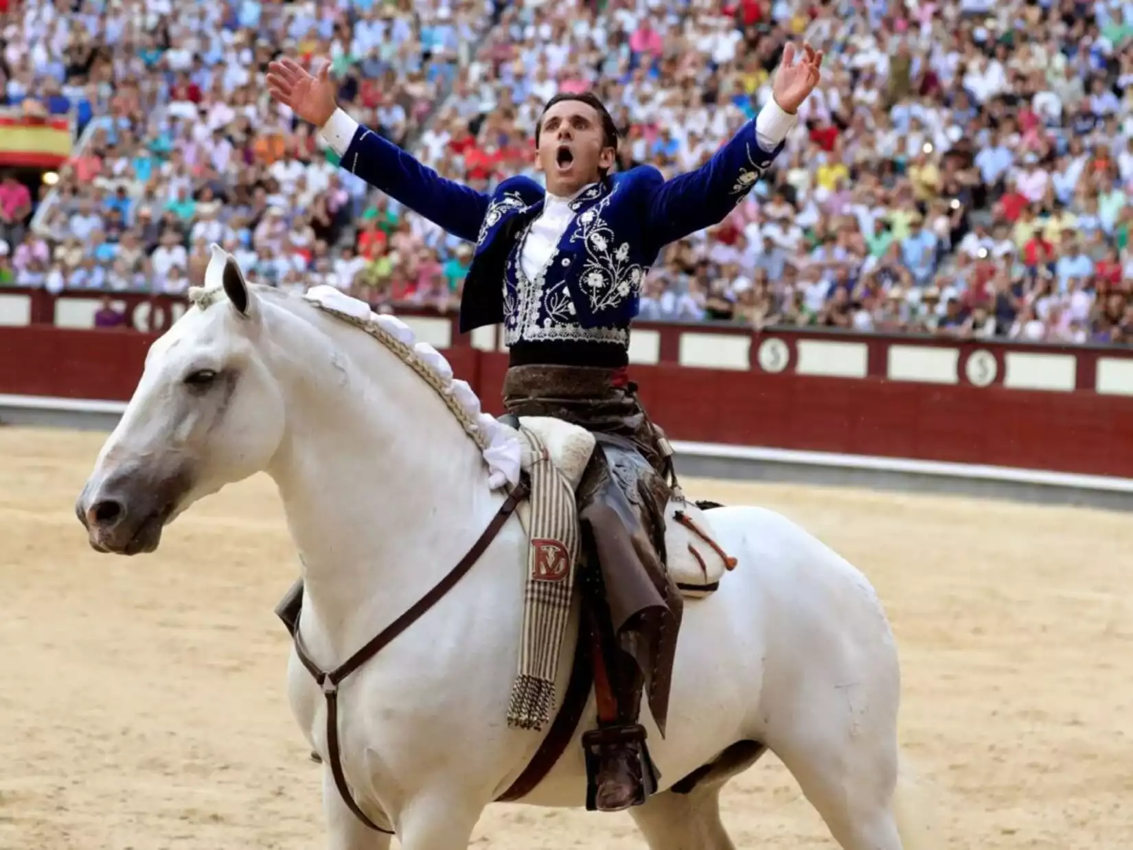 programme feria vendanges nîmes vendredi 15 septembre abrivado chevaux taureaux