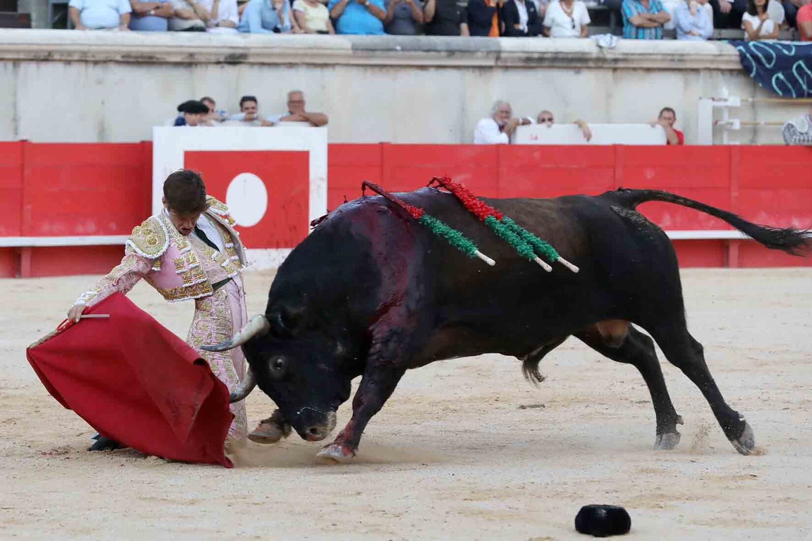 feriadesvendanges_arenesdenimes_elrafi_simoncasas_nimes_corrida_reveildumidi