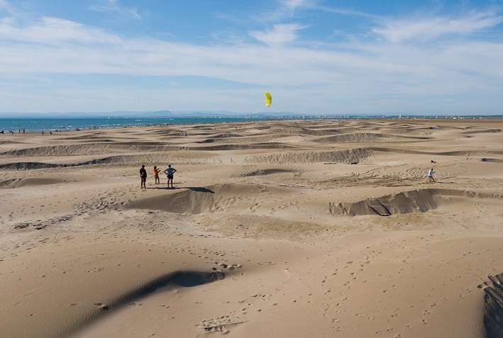 espiguette_sable_plage_lereveildumidi