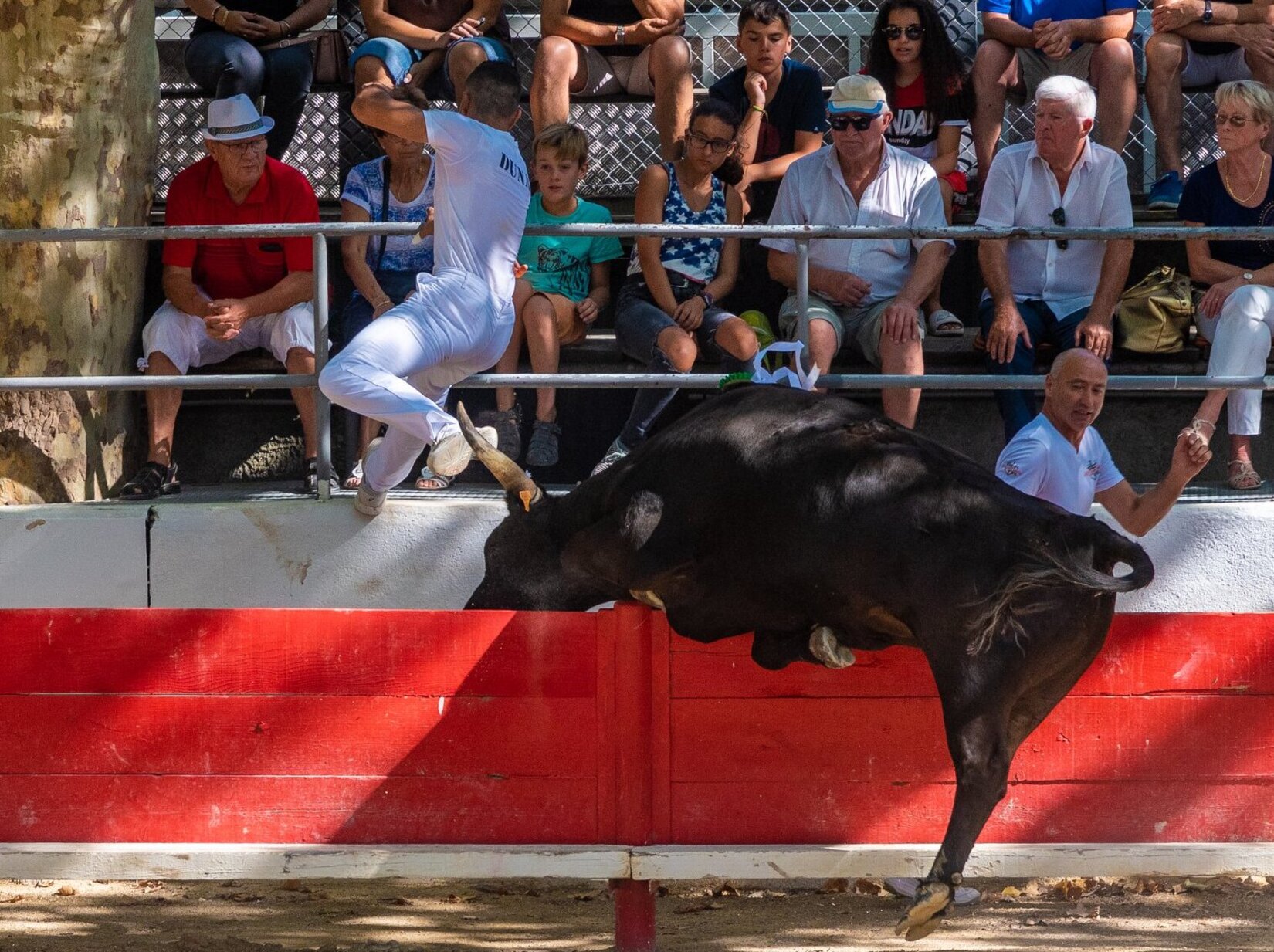 experience_course_camarguaise1.jpg