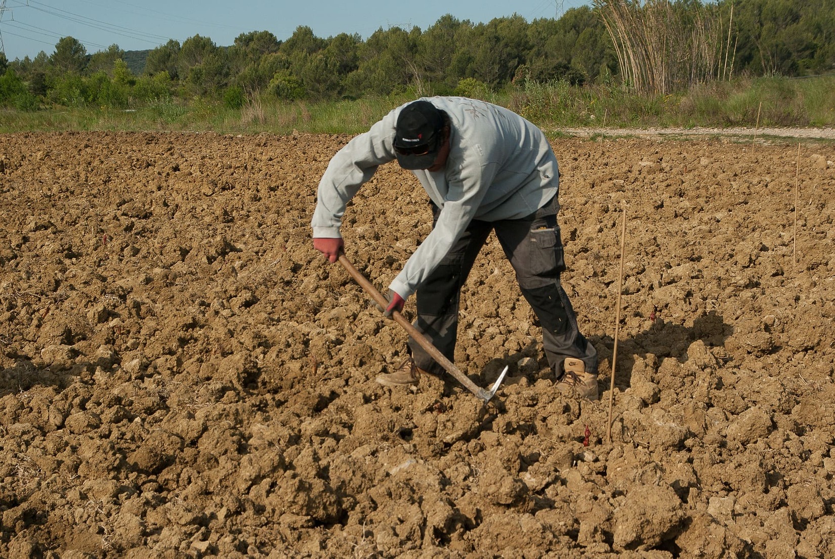 aide_etat_suicide_agriculteurs_mal_être_gard