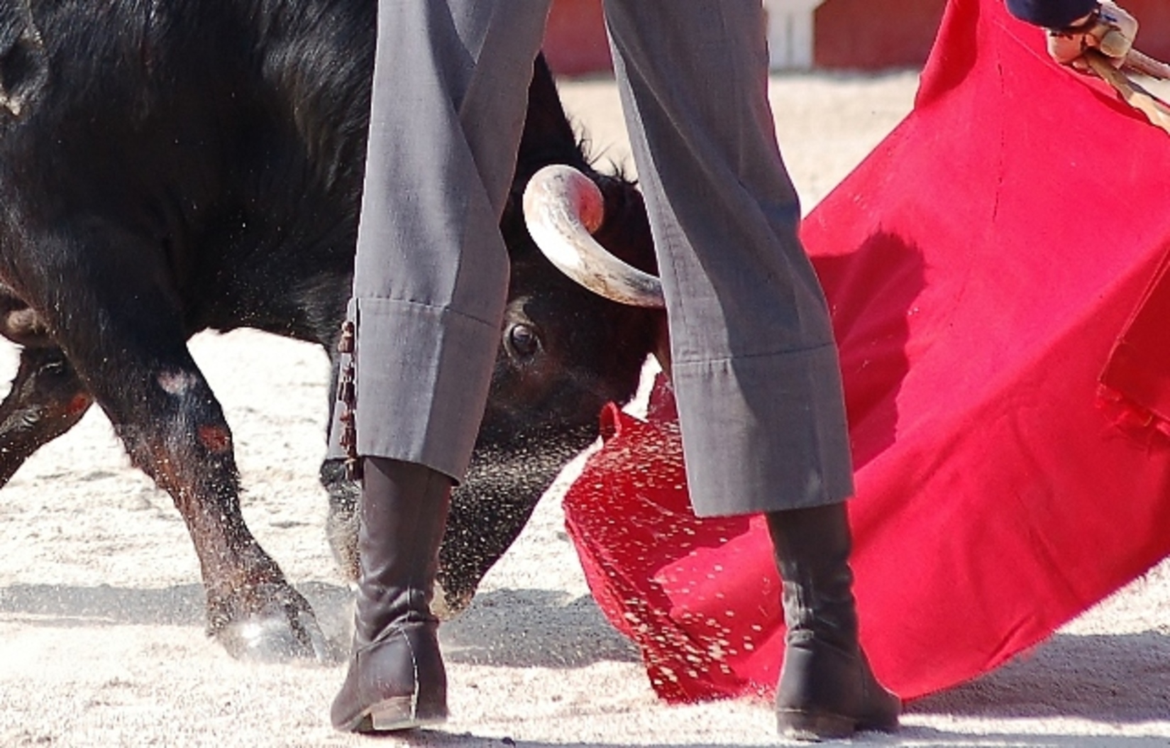 feriadelapecheetdel'abricot_tauromachie_saintgilles_feria_reveildumidi