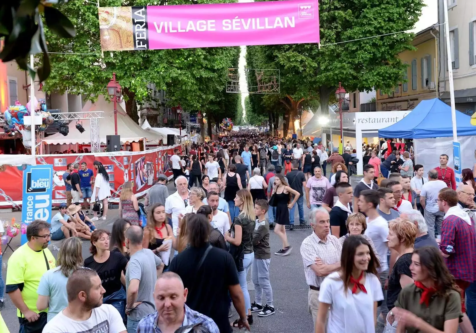 feria ales programme festif fete famille taureau ville gard evenement